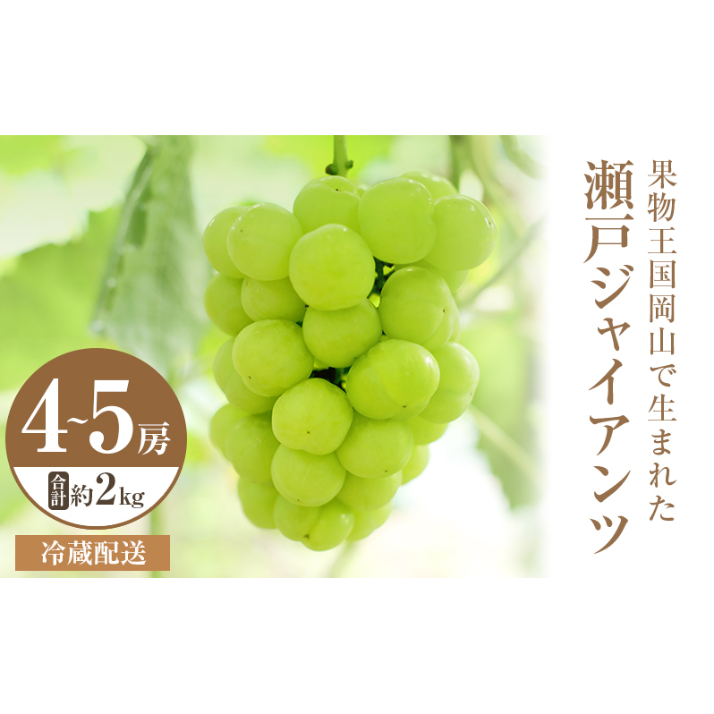 2025年 先行予約 瀬戸ジャイアンツ 4~5房 合計約2kg 冷蔵配送 ぶどう 葡萄 フルーツ 果物 岡山 岡山のぶどう 食後 デザート 産地直送 皮ごと 酸味が少ない 爽やか 甘い
