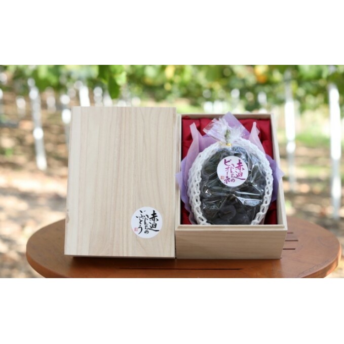 桐箱入 ニュー ピオーネ 1房 750g以上 葡萄 ぶどう フルーツ 岡山 高梁市産 赤迫農園 2026年 先行予約 果物 デザート 愛情 最高 新鮮 桐箱入り 美味しい 