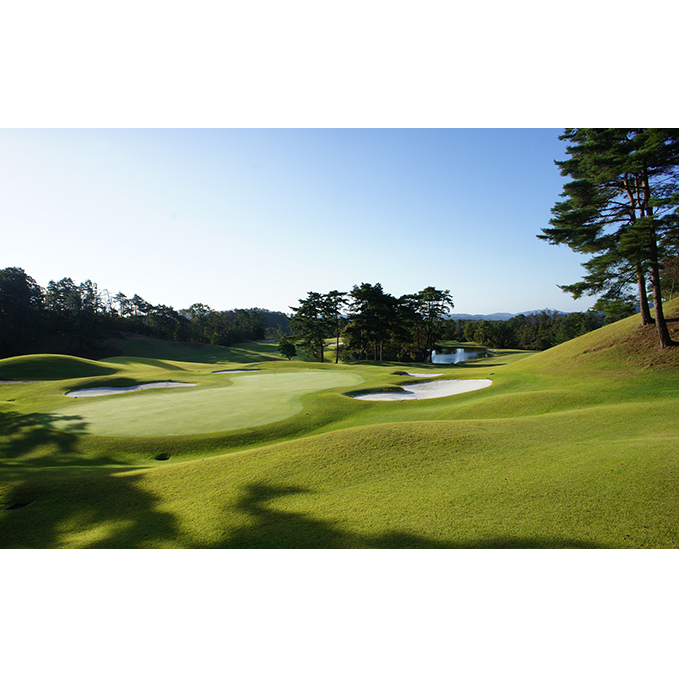 パインツリーゴルフクラブ 1組平日プレー無料優待券（昼食付） ゴルフ場 利用券 優待チケット 丘陵 林間 コース 松林 自然 戦略的 スポーツ 趣味 ビジネス 社会人 