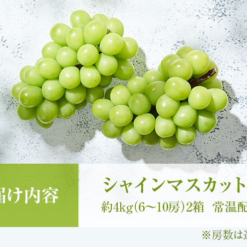 シャインマスカット 約4kg ぶどう 葡萄 フルーツ 岡山 高梁市産 2024年 先行予約 | 岡山県高梁市 | JRE MALLふるさと納税