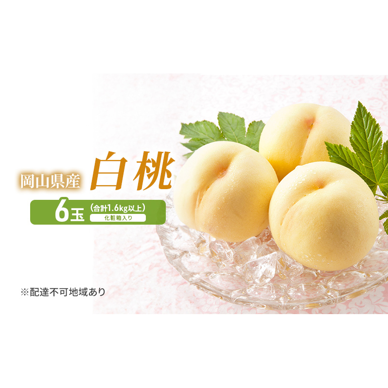 桃 2026年 先行予約 白桃 6玉 (1.6kg以上) 化粧箱入り もも モモ 岡山県産 国産 フルーツ 果物 セット ギフト