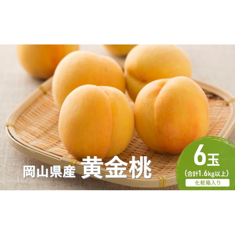 桃 2026年 先行予約 黄金桃 6玉(1.6kg以上) 化粧箱入り もも モモ 岡山県産 国産 フルーツ 果物 セット ギフト