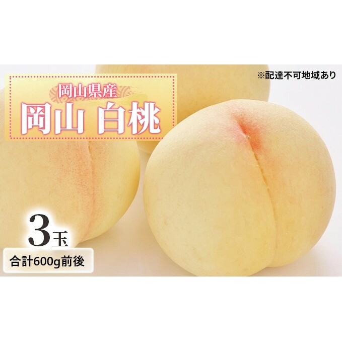 桃 【2026年 先行予約】 白桃 3玉入り 合計600g前後 もも 岡山県産 国産 フルーツ 果物 ギフト