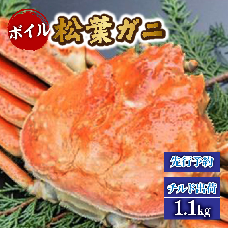 [先行予約][ボイル松葉がに1.1kg かにの身入りかにみそ 三杯酢付 冷蔵]令和7年11月中旬以降順次配送予定 松葉 かに 蟹 カニ かにみそ香住 新鮮 国産 鍋 かにすき 脚 足 爪 身 肩 大人気 兵庫県 香美町 香住 柴山 ズワイガニ 200000円 マルヨ食品 マルヨダイレクト 17-32