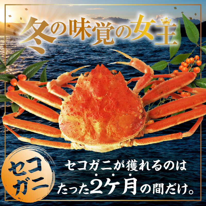 先行予約】【兵庫県香住産 訳あり活セコガニ1kg 冷蔵】令和7