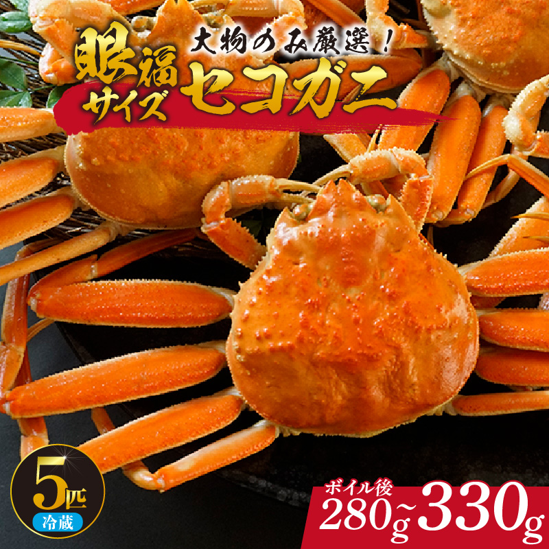 [先行予約][1匹280g〜330gの大物のみ厳選! 眼福サイズ セコガニ5匹セット 冷蔵] 令和7年11月中旬以降、水揚げ次第順次発送予定 濃厚なカニ味噌 やみつきになる内子 外子 絶品 浜茹で 産地直送 鮮度抜群 送料無料 香住 柴山 国産 カニ 松葉ガニ せいこがに メスガニ 親ガニ ふるさと納税 返礼品 おすすめ 兵庫県 香美町 カネニ 06-25