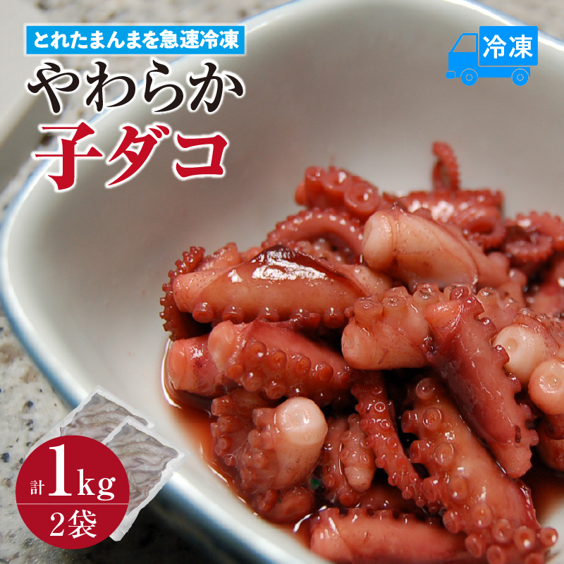 【とれたまんまを急速冷凍 やわらか子ダコ 500g×2袋 1kg 冷凍】ご入金確認後、順次発送予定 国産 小だこ 生 真空パック 産地直送 鮮度抜群 タコ たこ 海鮮 ふるさと納税 おすすめ 返礼品 兵庫県 香美町 香住 山米鮮魚 11000円 74-28