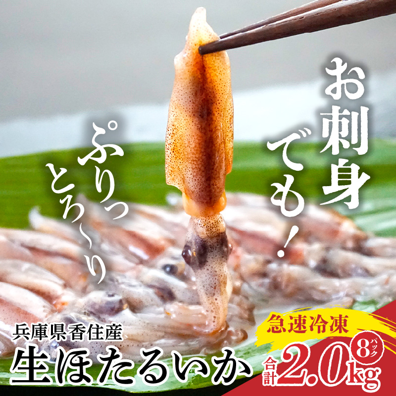 【先行予約】【兵庫県香住産 訳あり 生 ホタルイカ ほたるいか 小分け 便利 2kg(250g×8パック)冷凍】令和8年3月初旬から下旬にかけて発送開始予定 国産 香住 いか イカ 大人気 人気 おすすめ 兵庫県 香美町 日本海フーズ 07-135