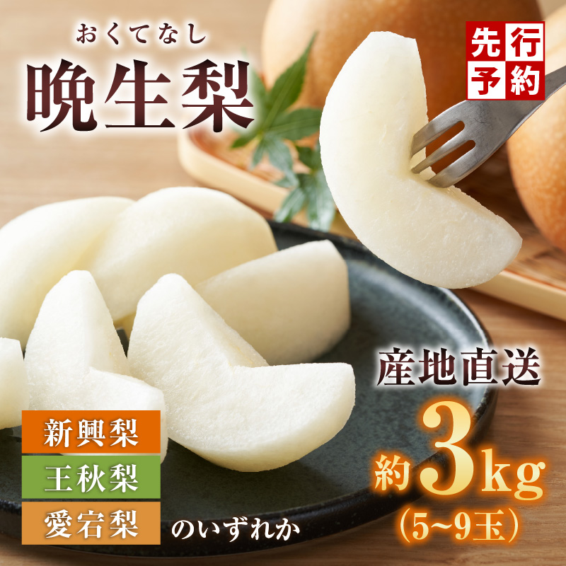 [先行予約]梨 (新興梨 王秋梨 愛宕梨のいずれか)3kg(5〜9玉)10月中旬から12月下旬にかけて発送 晩生品種(新興・王秋・愛宕)のいずれかを時期によってお届け。大人気 人気 おすすめ ランキング 梨の一大産地香住からお届け 絶妙な美味さ 味と品質へのこだわり 兵庫県 香美町 香住 国産 果物 フルーツ ナシ なし 和梨 贈答 ギフト JAたじま 9000円 12-06