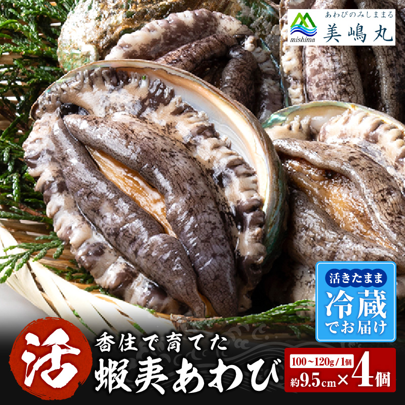 [冷蔵 活あわび 養殖 9.5cm×4枚 400g〜480g (1個100〜120g)]新鮮 発送目安:入金確認後1ヶ月以内 日本海 養殖あわび レシピ入り 香美町 香住 山陰 鮑 活アワビ 海鮮 お刺身 バター焼き 美嶋丸 25000円 20-03