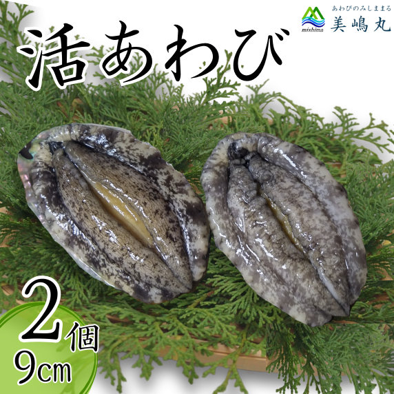 [冷蔵 活あわび 養殖 9cm×2枚 160〜200g (1個80〜100g)]満点青空レストラン うまい!おせち2023に採用されました 新鮮 発送目安:入金確認後1ヶ月程度 日本海 香住で育てた養殖あわびです。昆布を食べて育つ美味しいアワビをお届けします!レシピ入り 香美町 香住 山陰 アワビ 鮑 活アワビ 海鮮 お刺身 あわびのバター焼き 美嶋丸 20-11