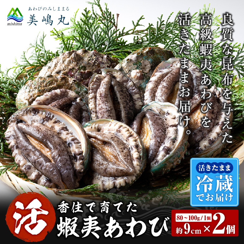 【冷蔵 活あわび 養殖 9cm×2枚 160～200g (1個80～100g）】満点青空レストラン うまい！おせち2023に採用されました 新鮮 日本海 レシピ入り 香美町 香住 山陰 活アワビ 海鮮 お刺身 バター焼き 美嶋丸 13000円 20-11 ☆