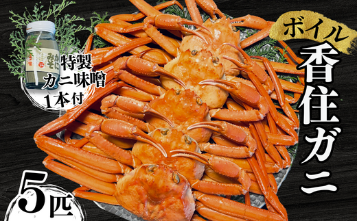 [先行予約][本場香住漁港であがった!香住ガニセット5匹入り 三七十特製カニ味噌1本付 冷蔵/冷凍]令和7年9月中旬以降、カニの水揚げ次第順次発送予定 カニの本場 香住産 厳選 茹で香住ガニ姿5杯入り 鮮度抜群 水揚げされたばかりの香住ガニを熟練の職人が釜茹でします かに 蟹 カニ ゆでガニ むき身 足 爪 かにすき かに鍋 ふるさと納税 兵庫県 香美町 香住 三七十 05-10
