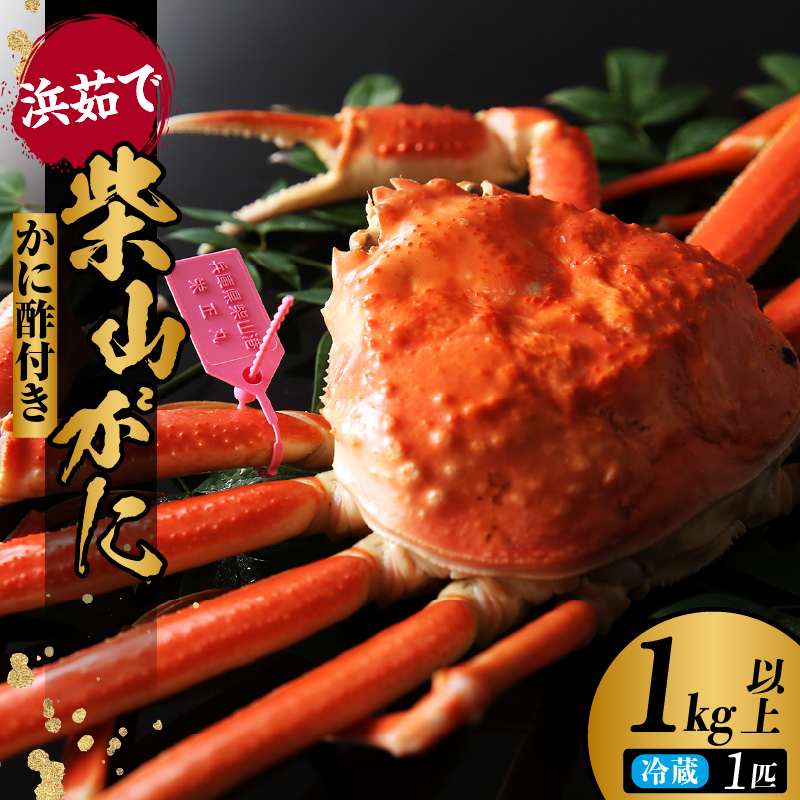 [先行予約][柴山がに タグ付き カネニの浜茹で (ボイル 高級柴山がに タグ付き 茹で 重量:1.0kg以上 冷蔵でお届け)]令和7年11月中旬以降順次発送予定 高級 ふるさと納税 かにすき 焼きガニ カニ ボイル 兵庫県 香美町 香住 柴山 カネニ 200000円 06-02