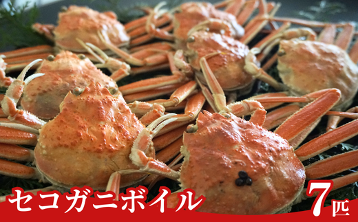 【先行予約】【訳あり セコガニボイル(冷凍)7匹】※令和7年11月中旬以降順次発送予定 1~2本足折れ 味や品質に問題ありません 急速冷凍 浜茹 数量限定 産地直送 鮮度抜群 大人気 リピーター続出  ふるさと納税 香美町 香住 柴山 国産 カニ 松葉ガニ せいこがに メスガニ 28000円 04-06