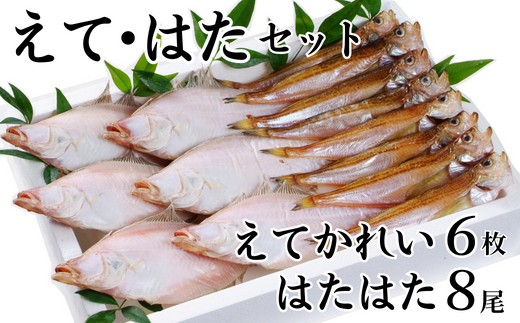 [干物 えてかれい、はたはたセット エテカレイ6枚 ハタハタ8尾 干物の本場 香住産 冷凍]いずれも脂のりの良い旬の時期のものだけを厳選して一夜干ししました。伝統の「まぶり塩」ふるさと納税 大人気 香美町 柴山 山陰 蔵平水産 13000円 08-01