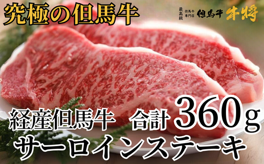 【但馬牛 経産牛 サーロインステーキ 180g×2 合計360g】牛肉 ステーキ しゃぶしゃぶ すき焼き 焼肉 ブランド 和牛 冷凍 産地直送 兵庫県 但馬 神戸 香美町 村岡 牛将 村岡ファームガーデン 02-03