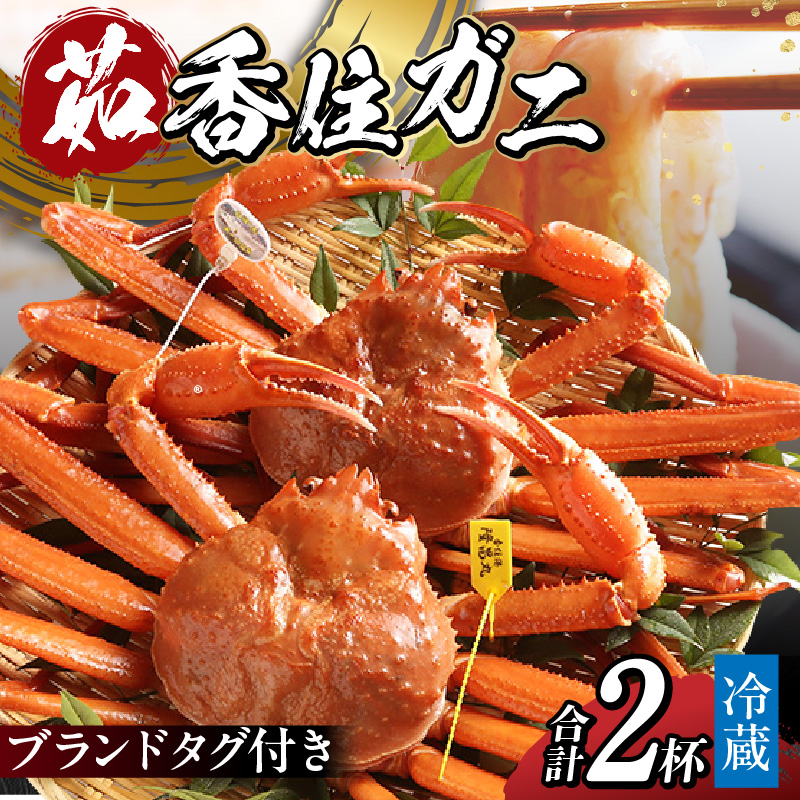 [先行予約][香住ガニ 大 タグ付き ボイル 茹で 姿 約700g×2杯 冷蔵]令和7年9月中旬以降、カニの水揚げ次第順次発送予定 カニの本場 香住産 最上質な香住ガニを見定め競り落とします 立派なカニを自信を持って提供いたします 大人気 ふるさと納税 カニの旨味と甘味が抜群 鮮度抜群 香美町 香住 兵庫県 香住漁港 国産 かに カニ ベニズワイガニ マルヤ水産 39000円 11-04