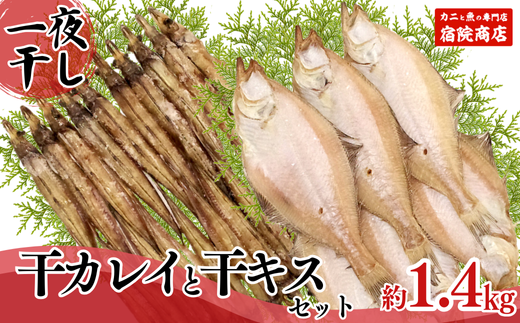 [一夜干し 干カレイと干キスセット]山陰沖で水揚げ 干物 ひもの 海産物 海鮮 魚介 焼いたり 空揚げ お酒のお供 ご飯のお供 送料無料 日本海 香住海岸 香住港 柴山港 兵庫県 香美町 香住 ふるさと納税 宿院商店 12000円 33-12