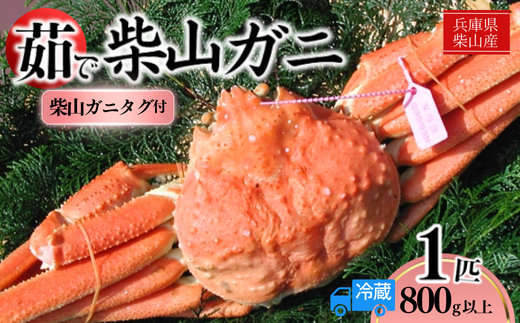 [柴山産 茹で タグ付 柴山ガニ 1匹(約800g以上)冷蔵] 柴山で水揚げされた新鮮な松葉ガニを熟練の職人が茹で上げ。産地証明のタグ付き松葉ガニ カニの本場 香住 新鮮 国産 鍋 かにすき 脚 足 爪 身 肩 大人気 ふるさと納税 兵庫県 香美町 香住 柴山ガニ ズワイガニ 松葉ガニ ヤマヨシ 73000円 37-07