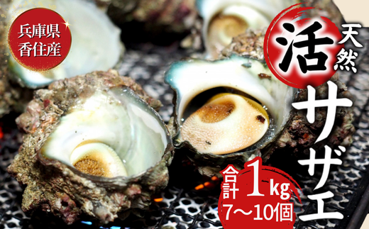 [サザエ 兵庫県香住産 新鮮 天然 活サザエ 1kg(7〜10個)冷蔵]※発送目安:入金確認後、順次発送 香住で水揚げされた新鮮なサザエをお届けします。つぼ焼き、炊き込みご飯(サザエ飯)、酒の肴などにピッタリ!磯の香りが濃く風味豊かなサザエです。大人気 ふるさと納税 夏休み BBQ バーベキュー キャンプ お盆 海 海水浴 日本海 兵庫県 香美町 香住 柴山 宿院商店 10000円 33-19