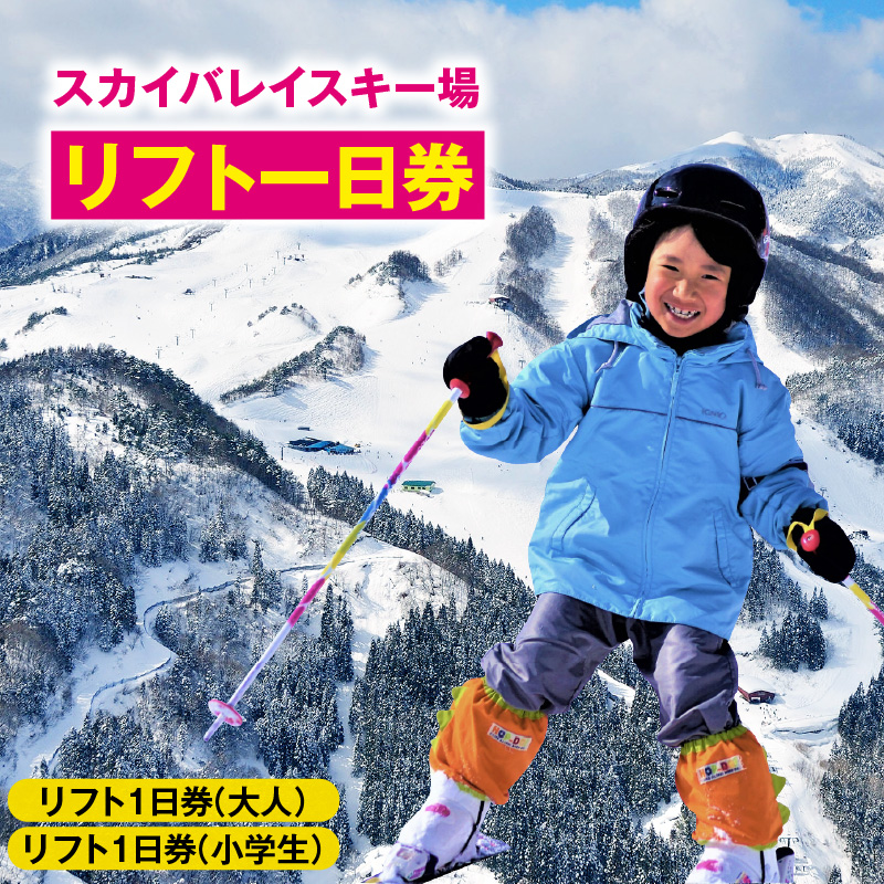 スカイバレイスキー場リフト1日券(大人+小学生)スキーチケット 体験チケット リフト券 スキー スキーリフト券 1日券 お礼の品 スキー場 一日券 スノーボード スノボ 兵庫県 冬 旅行 イベント 有効期限 2025/26シーズン終了まで 兵庫県 香美町 村岡 ユースランド 18-03