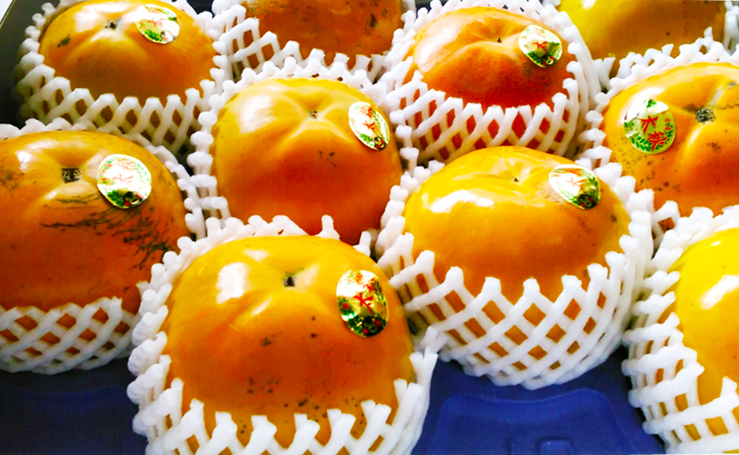 太秋柿 約3kg 8~16玉入り 柿 カキ 太秋 たいしゅう 【2025年10月上旬~11月上旬まで発送予定】