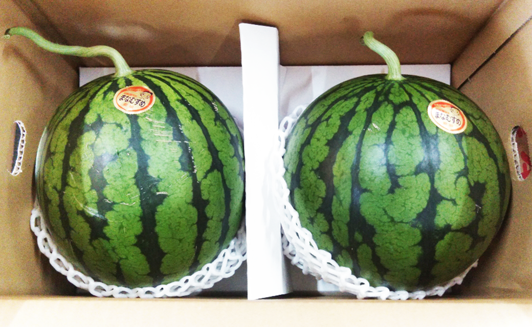 小玉 すいか 2玉 入り 1玉1.5kg 以上 西瓜【2026年5月下旬~6月上旬発送予定】