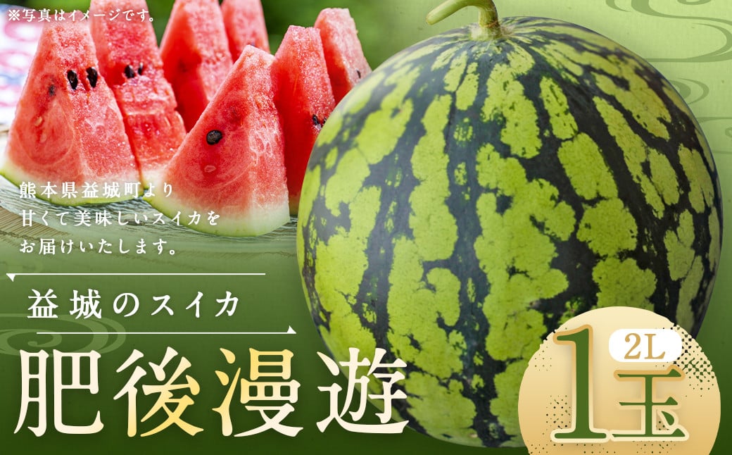 熊本県 益城町 スイカ 肥後漫遊 2L 1玉  約7kg 【2026年4月下旬~6月下旬迄発送予定】