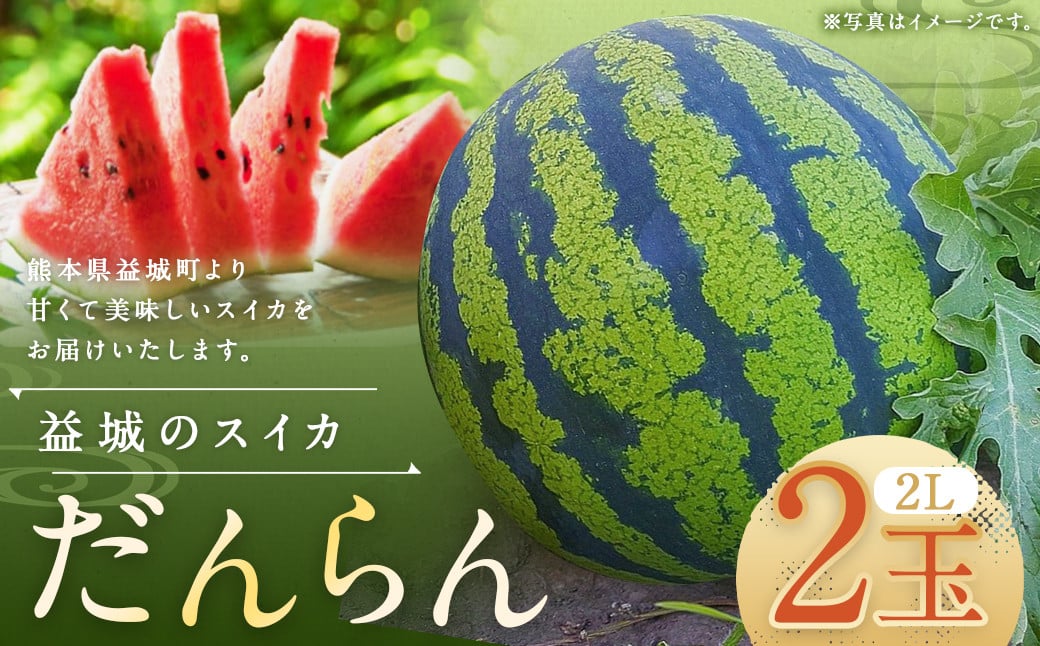 熊本県 益城町 スイカ だんらん 2玉  (2玉×2L) 計約14kg 【2026年4月下旬~6月下旬迄発送予定】