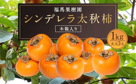 シンデレラ 太秋柿 木箱入り 大玉 3玉 約1kg 【2025年11月上旬~12月下旬発送予定】