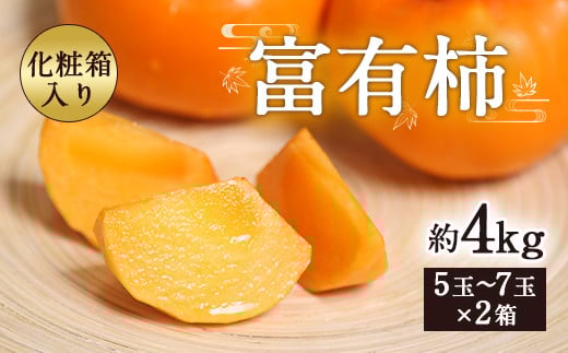 富有柿 合計約4kg 1箱5~7玉×2箱 化粧箱 付き 柿 太秋柿 【2025年11月上旬~12月下旬発送予定】