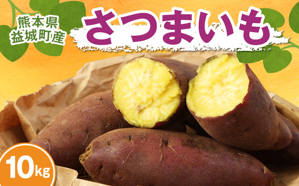 【2023年10月上旬発送開始】 産地直送! さつまいも シルクスイート 紅はるか 約10kg 熊本県 益城町産 焼き芋 ふかし芋 大学芋