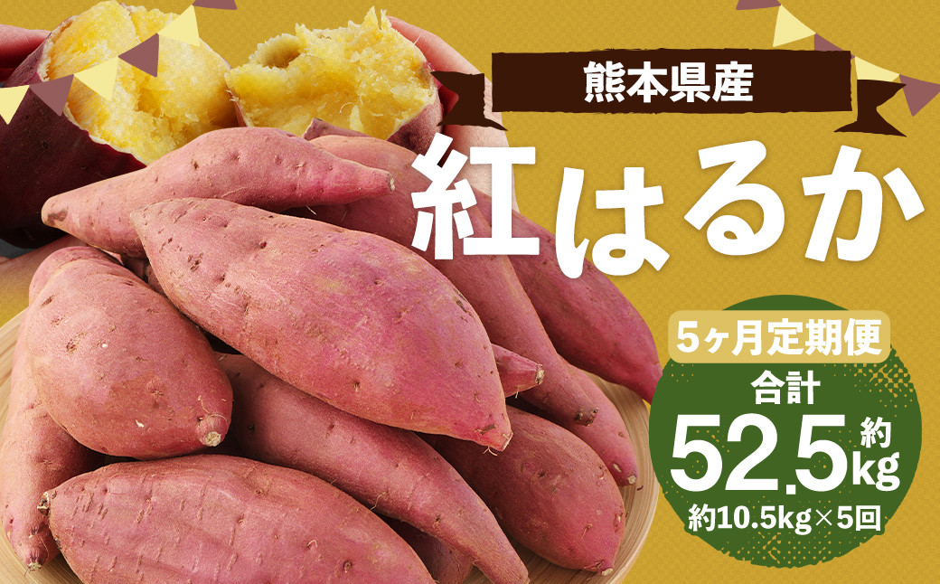【2023年11月下旬発送開始】【5ヶ月定期便】熊本産 紅はるか 約10.5kg×5回