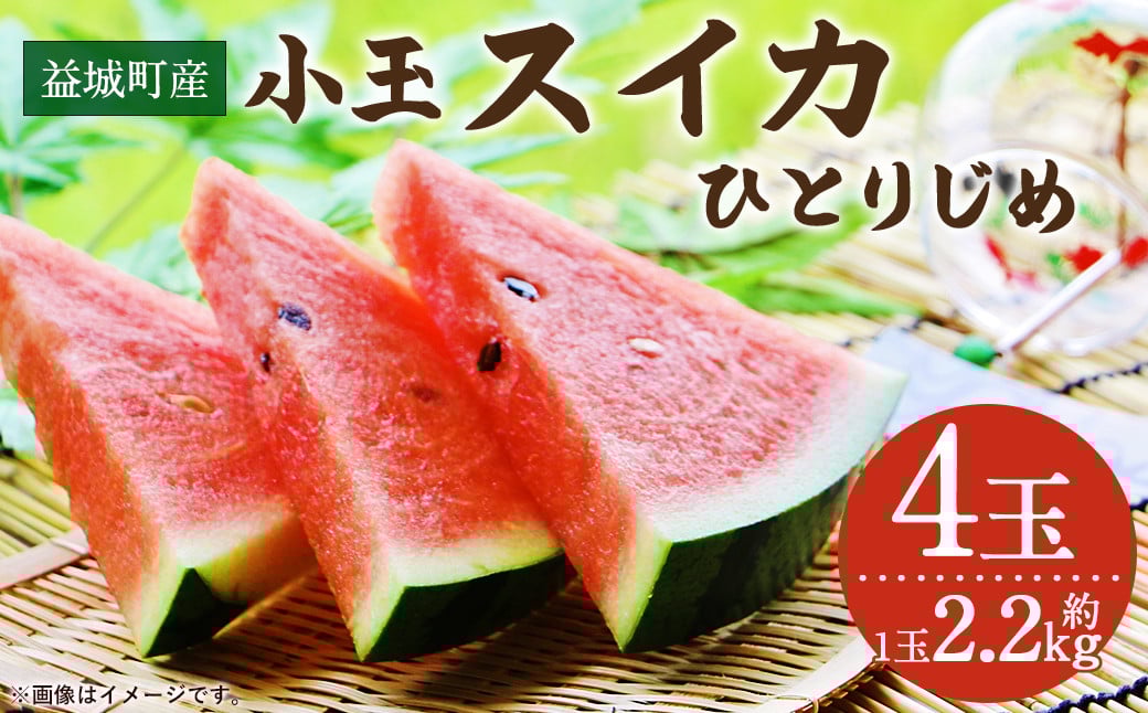 益城町産 スイカ 小玉 ひとりじめ  4玉 9kg以上 【2024年5月下旬~6月上旬発送予定】