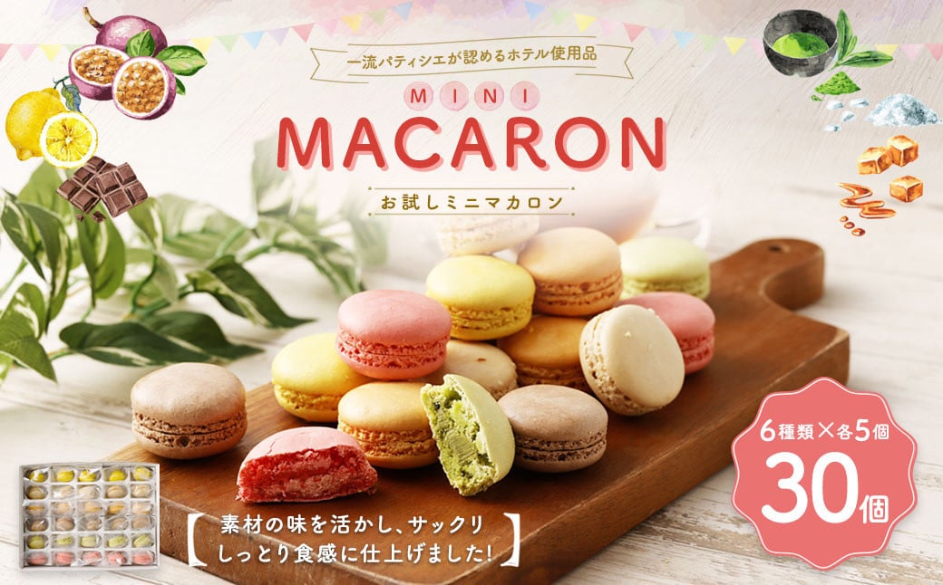 一流パティシエが認めるホテル使用品 お試し ミニ マカロン セット 30個(6種類×5個)冷凍