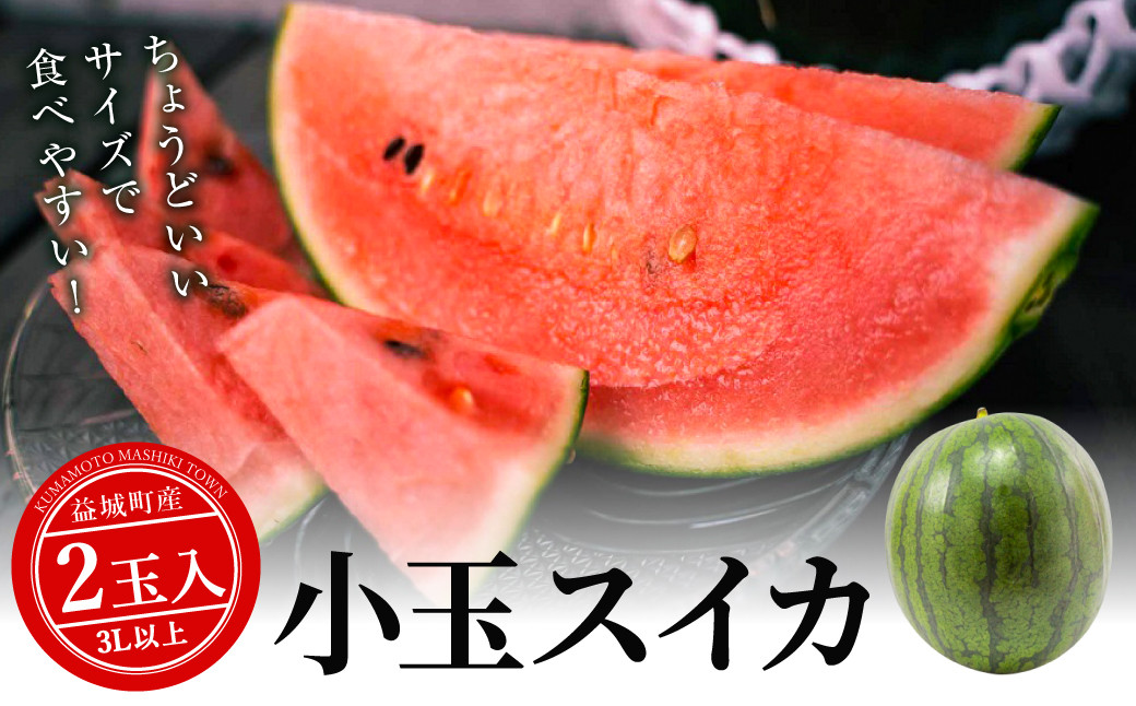 小玉スイカ 3Lサイズ以上 2玉入り 益城町 すいか 果物 フルーツ【2024年5月下旬-2024年7月下旬発送予定】