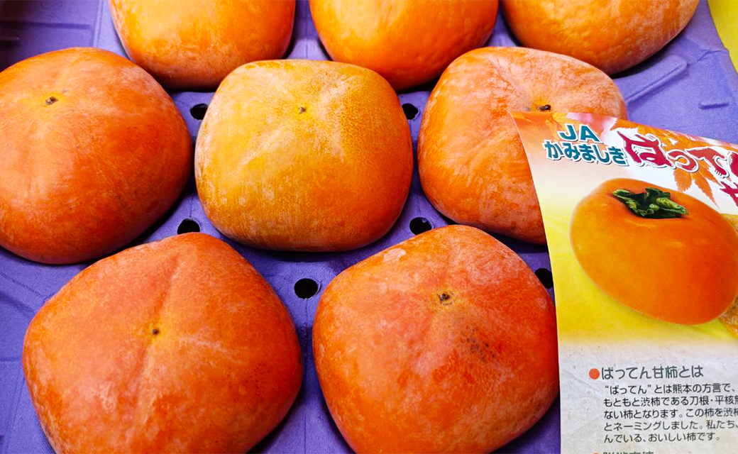 ばってん甘柿 約3kg 赤秀・青秀 8~16玉入り 柿 かき 甘柿 【2024年10月上旬~11月上旬まで発送予定】