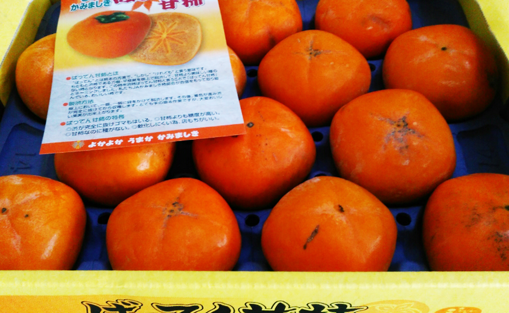 ばってん甘柿 訳あり 約3kg 8~16玉入り×2箱 合計約6kg 柿 かき 甘柿 【2024年10月上旬~11月上旬まで発送予定】
