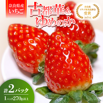 【2026年1月順次発送】奈良県産いちご「古都華」と「ゆめのか」の食べくらべ　合計2パック【配送不可地域：離島】【1556702】