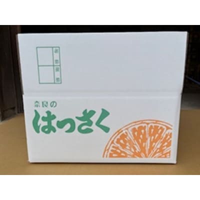 八朔10kgご家庭用【1601386】