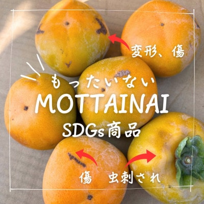 訳あり【令和7年10月より順次発送】たねなし柿L～2Lサイズ(16～18個入り)【配送不可地域：離島】【1601325】