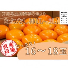 【令和7年10月以降発送予定】刀根早生柿発祥の地※より「たねなし柿」L~2L(1段箱16~18玉)【配送不可地域:離島】【1434467】