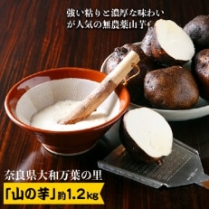 大和万葉の里「山の芋」 約1.2kg【1071903】