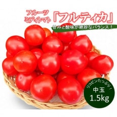 フルーツミディトマト中玉1.5kg【配送不可地域:離島】【1070779】