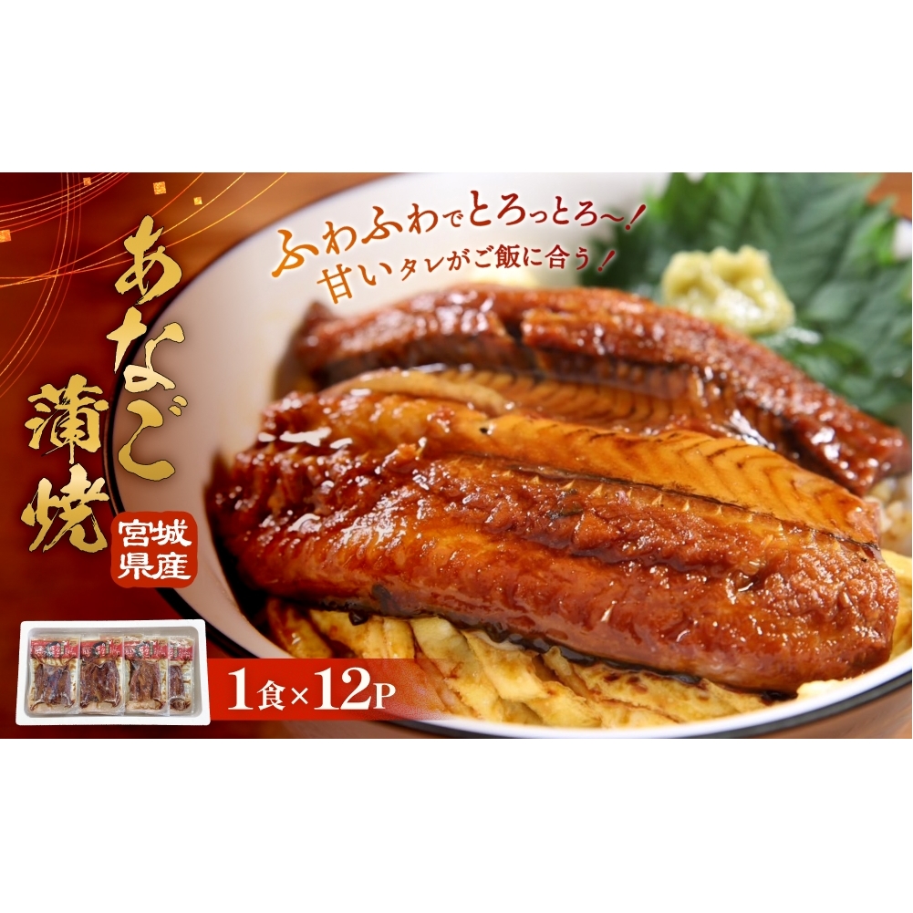 宮城県産あなご蒲焼(1食)12入 冷凍 小分け 穴子 アナゴ 蒲焼き 魚 お魚 丼 寿司 おかず