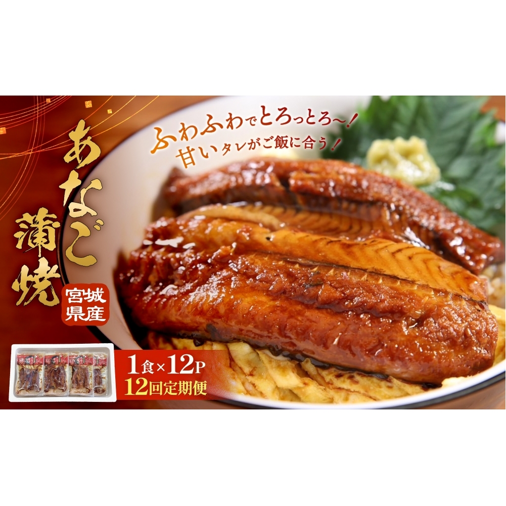 宮城県産あなご蒲焼(1食)12入 12回定期便 冷凍 小分け 穴子 アナゴ 蒲焼き 魚 お魚