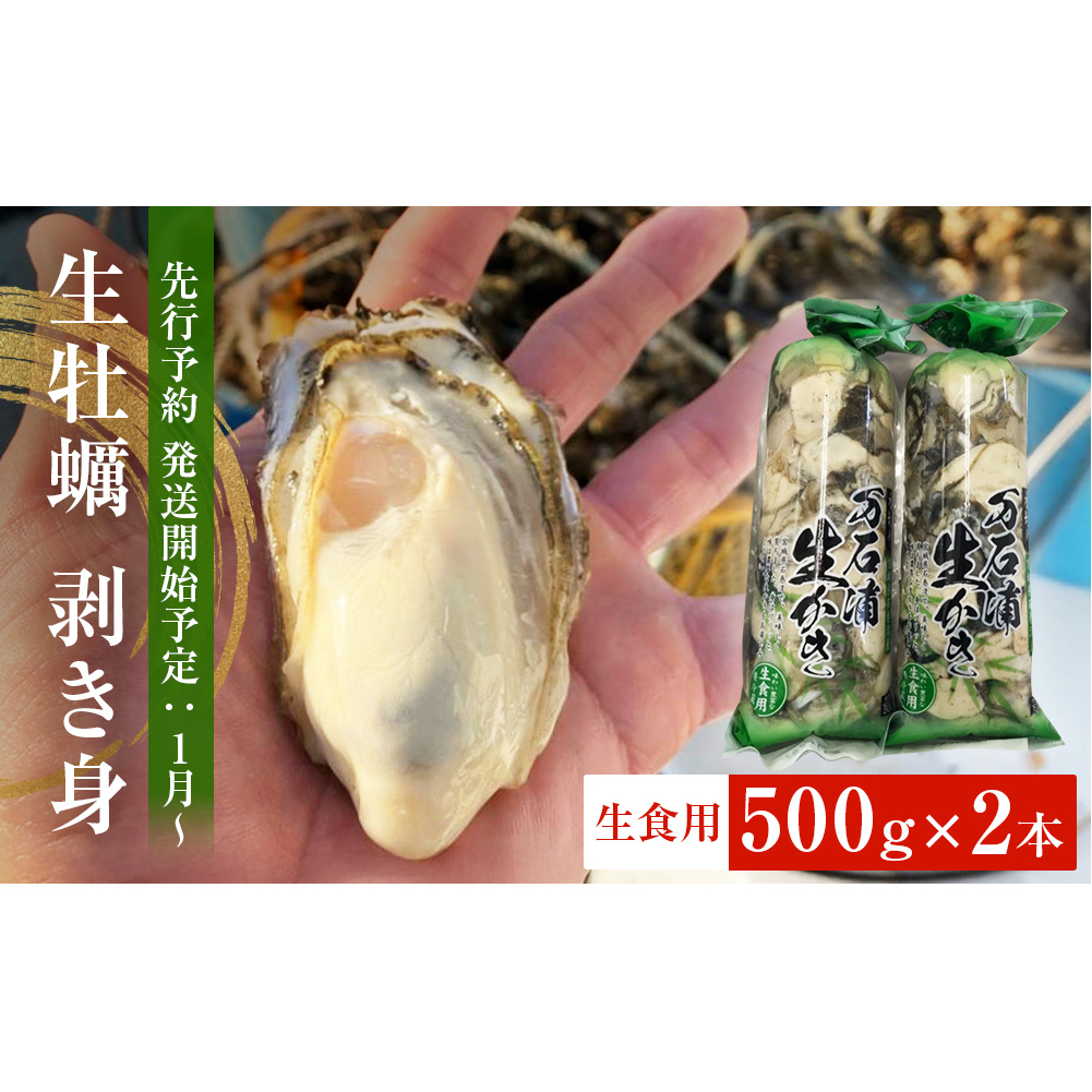 【先行予約】生牡蠣 牡蠣 生食用 かき剥き身 500g 2本入 水無し 生産者直送 かき 生食 魚介 魚介類