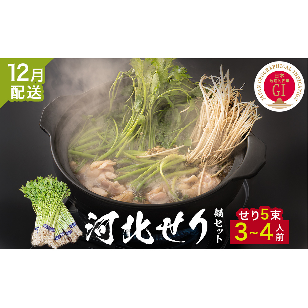 ＜12月配送＞ せり鍋セット せり5束 3-4人前 河北せり 鍋 せり 鍋セット 宮城県産 セリ鍋 芹 根せり 根っこ 宮城県 石巻市 長ねぎ パックご飯 スープ 鶏肉 セリ セリ鍋 野菜 鍋 しゃぶしゃぶ お取り寄せ グルメ 人気 ご当地鍋