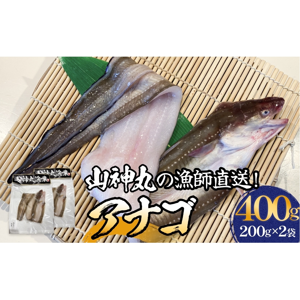 アナゴ 2パック 穴子 あなご 魚介 魚介類 海鮮 下処理済 直送 新鮮 冷凍 焼き物 煮付け フライ